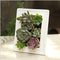 Picture Frame Succulent Pot