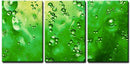 Green Drops on Canvas - 3 Panel